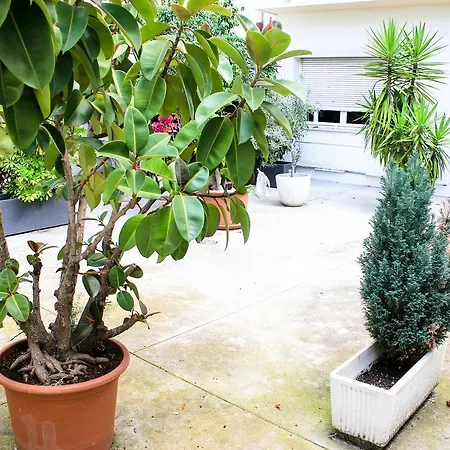 Apartment Esprit D'azur